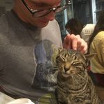 Stephen petting a cat that looks happy