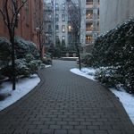 A quiet scenic area covered in snow