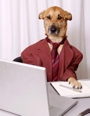 Dog wearing glasses and tie