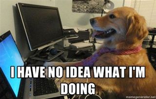 Dog using a computer saying "I have no idea what I'm doing"