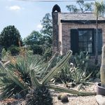 Outside the cactus green house