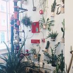 Plant wall inside of the Krewe store